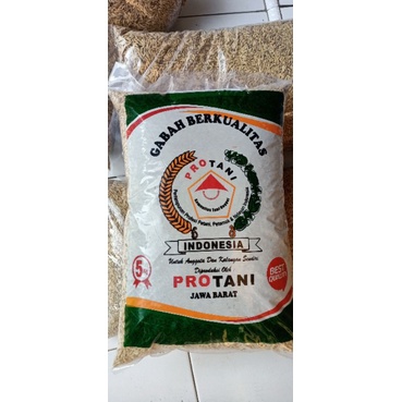 Benih Bibit padi sr KWALITAS SUPER PREMIUM 5kg - SRI REPUBLIK