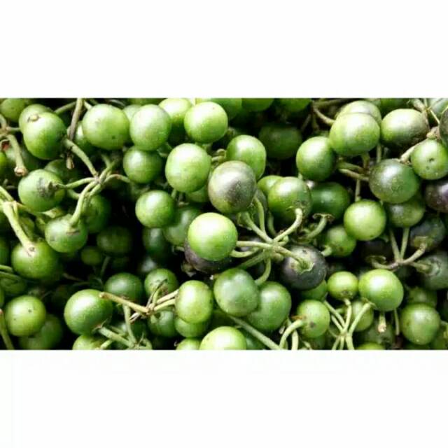 

Puri Segar Shop, SAYUR LEUNCA 250 GRAM