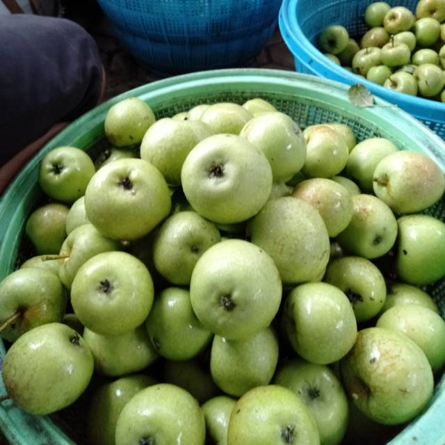 Buah Apel Manalagi/Apel Malang 1kg fresh dari kebun