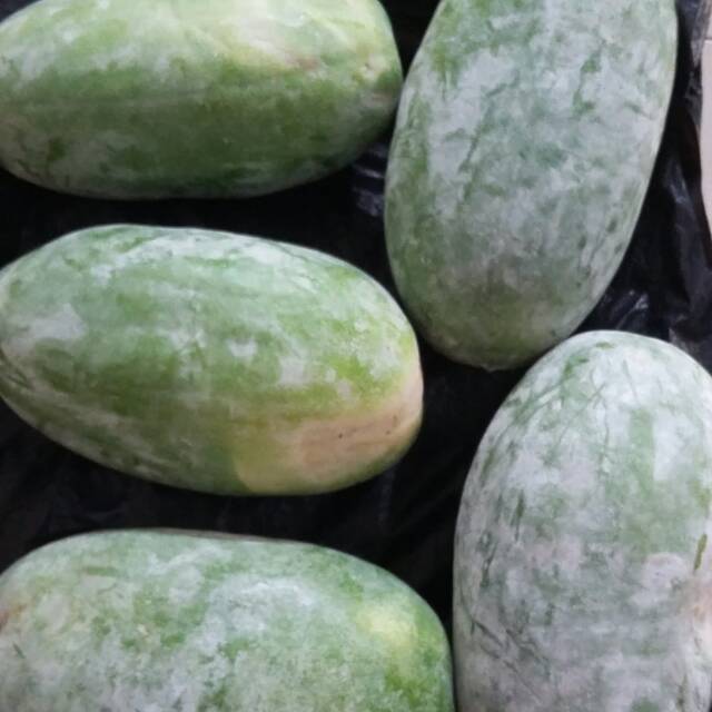 Buah Kundur Bligo Beligo Winter Melon Segar Baru Petik Shopee Indonesia