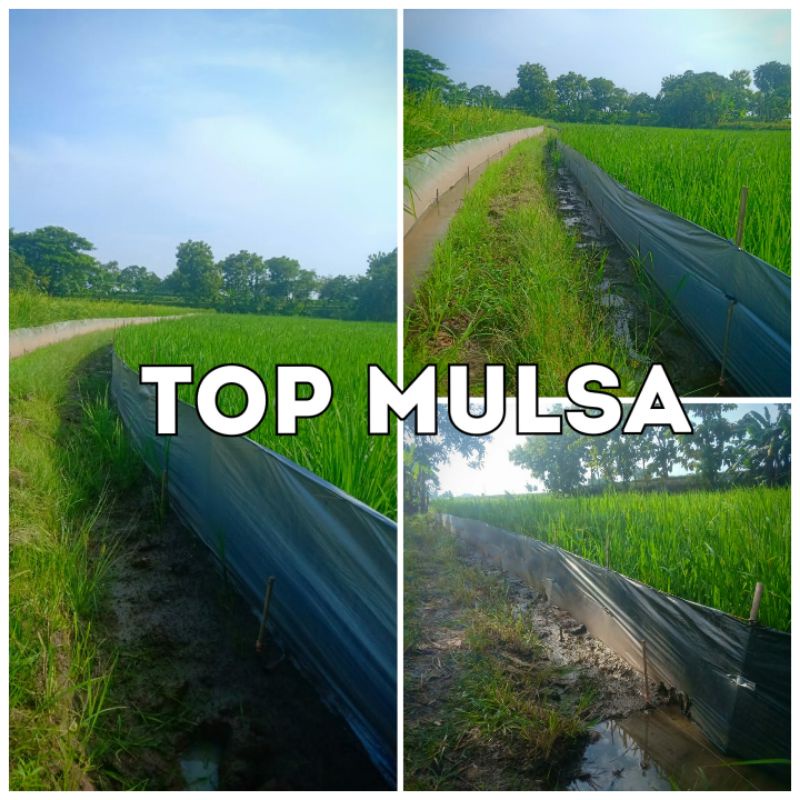 Plastik Mulsa Hitam Perak/Silver TOP 250m x 120cm (1.2m)