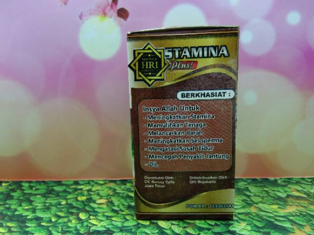 Obat herbal original TSN stamina plus