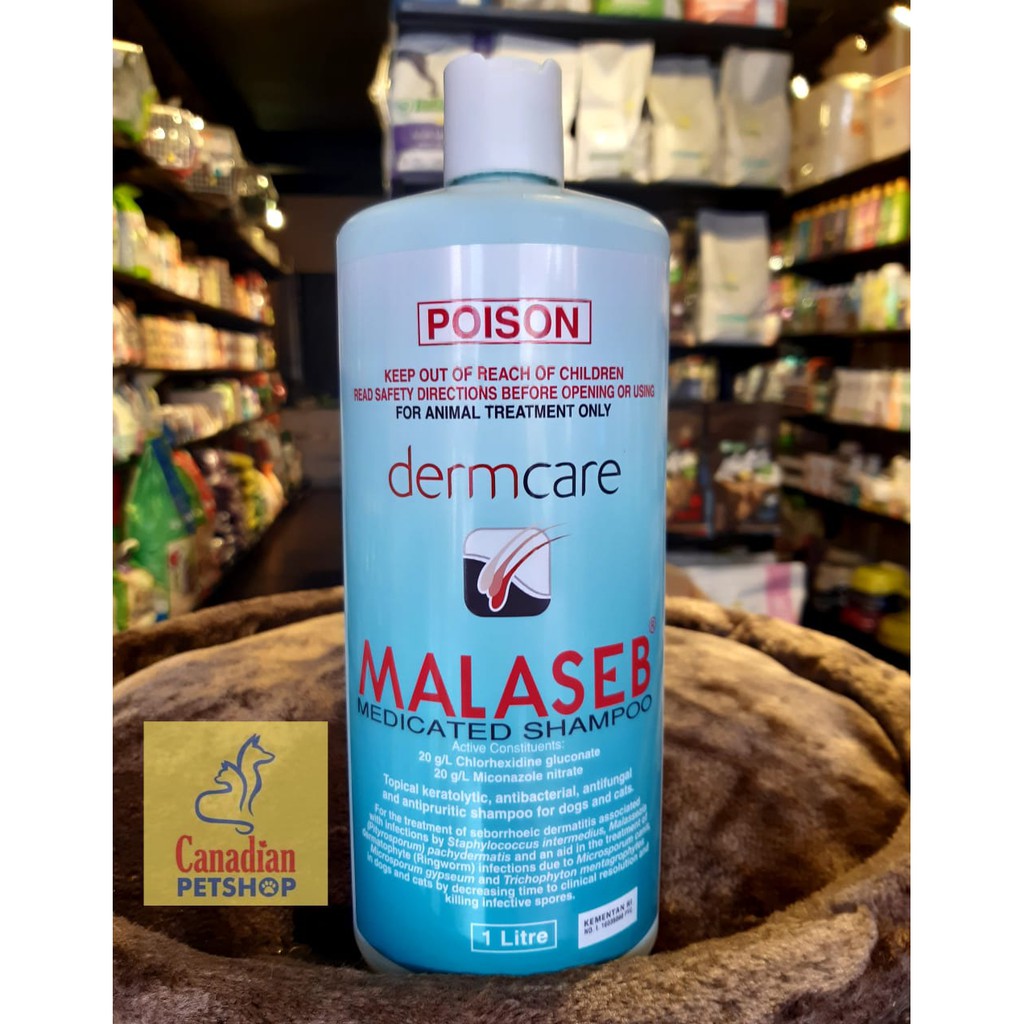 Jual Malaseb Medicated Shampoo 1 Liter Shampo Jamur Kucing dan Anjing