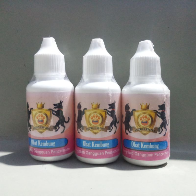 Raid All Obat Kembung | Obat Kembung Kucing