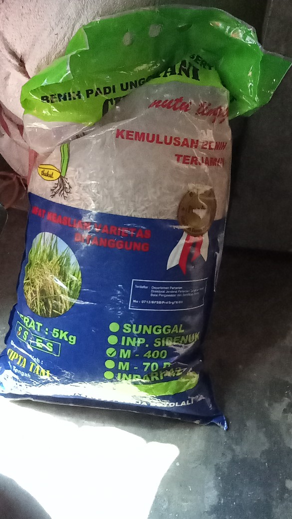 Benih Padi M400 Bibit Unggul 5kg