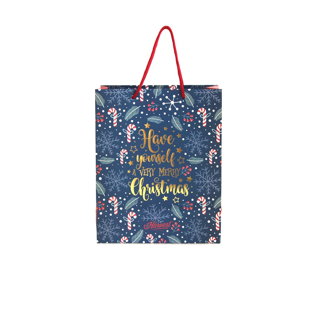 

Paper Bag Natal / Christmas Xmas Carol - Navy