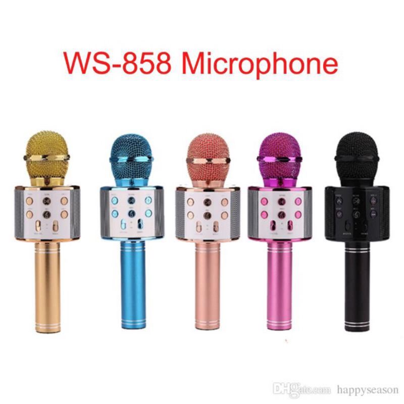 MIC KTV Wester ws 858 Karsis mic kekinian