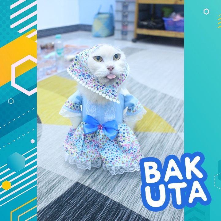 Kostum baju gamis lucu motif Bunga warna biru / baju koko kucing lebaran Terbaru size S-XL