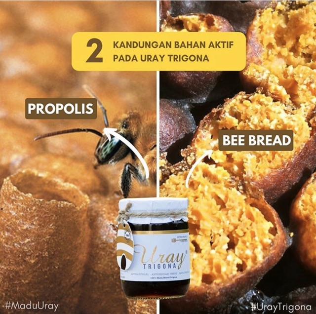 

QH [GROSIR!!] madu uray Trigona 230 ml alami