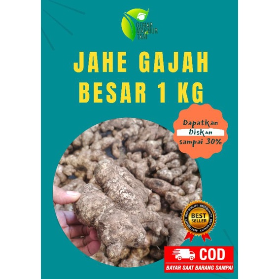 

Jahe Gajah 1 Kg
