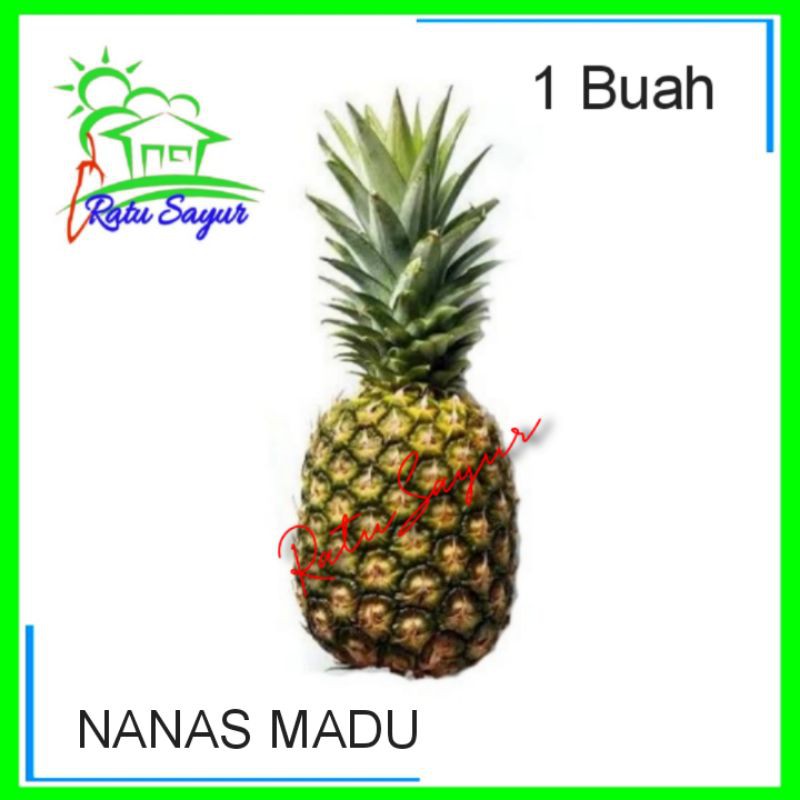 

BUAH NANAS MADU/Ratu Sayur .d