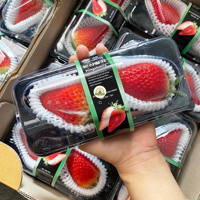 King Berry Korea (Strawberry)