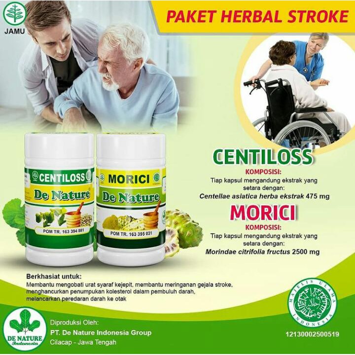 Obat Herbal Stroke Ringan, Stroke Berat, Penyakit Struk, Obat Setruk Wajah Sebelah, Kaki Lumpuh BPOM