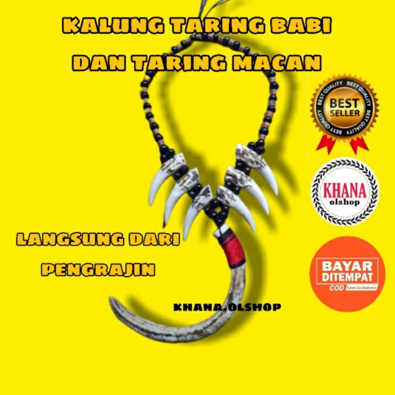 Kalung Etnik Dayak Bandul Taring Babi Dan Taring Macan Unik Mirip Asli