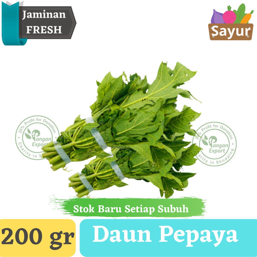 

Daun Pepaya Segar , Fresh Papaya Leaf