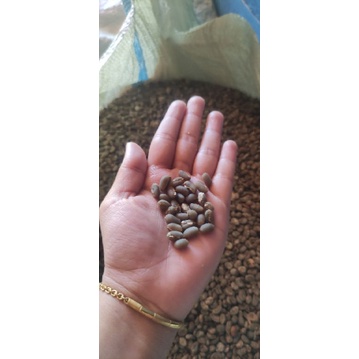 

Kopi Gayo Aceh Jenis Peabery (Kopi Lanang) 500 gram