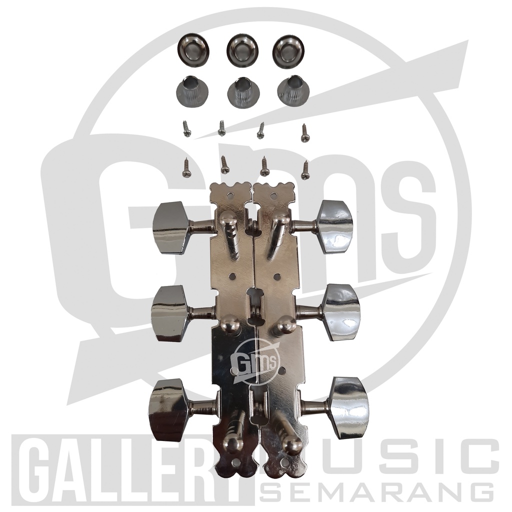 Dryer Gitar/Tuning/Peg Stainless (A24)