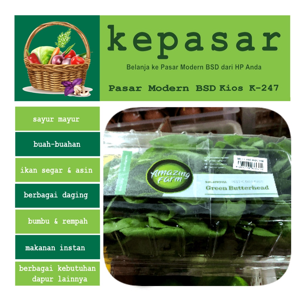 

Green Butterhead Organik Amazing Farm 200 g - Kepasar Pasar Online
