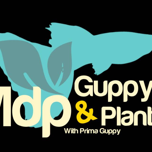 mdpguppyandplant