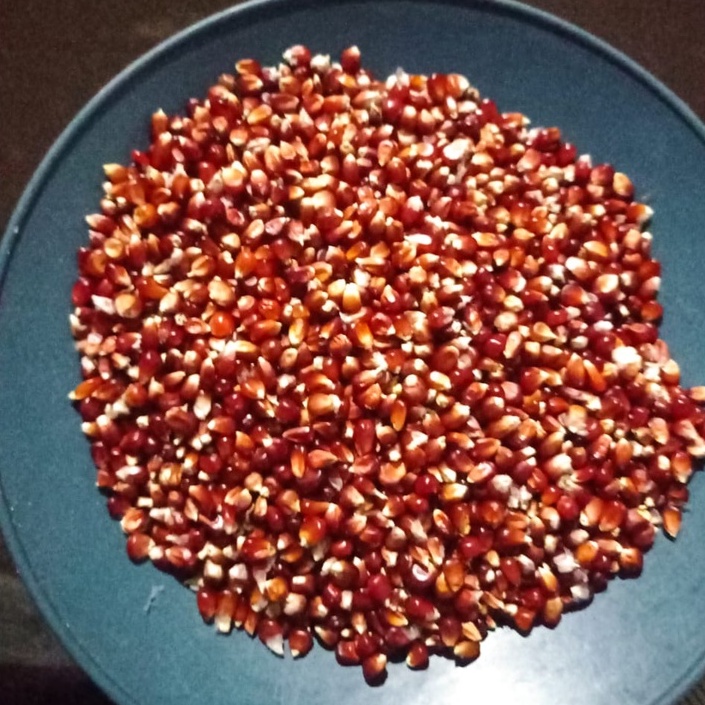 Jagung manggis kristal super berat sekarung 25 kg