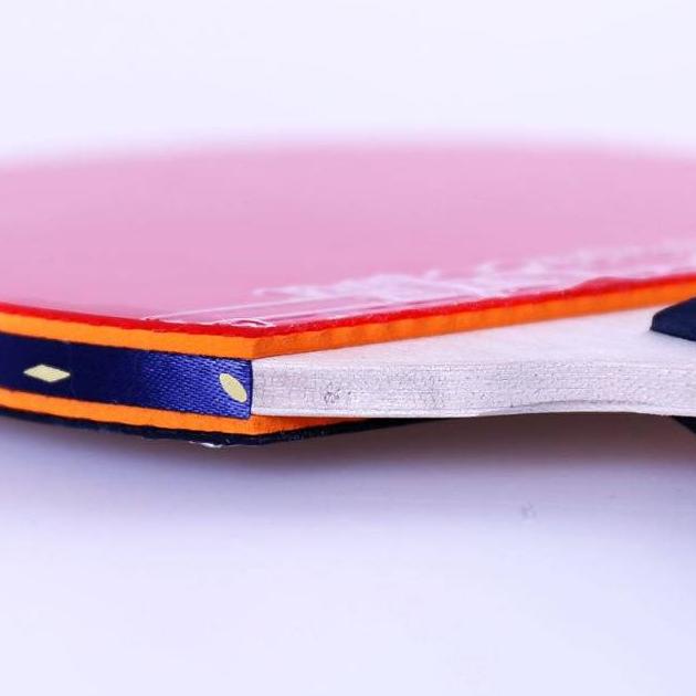 Bad Bat Bed Bet Pingpong Butterfly Tbc 301