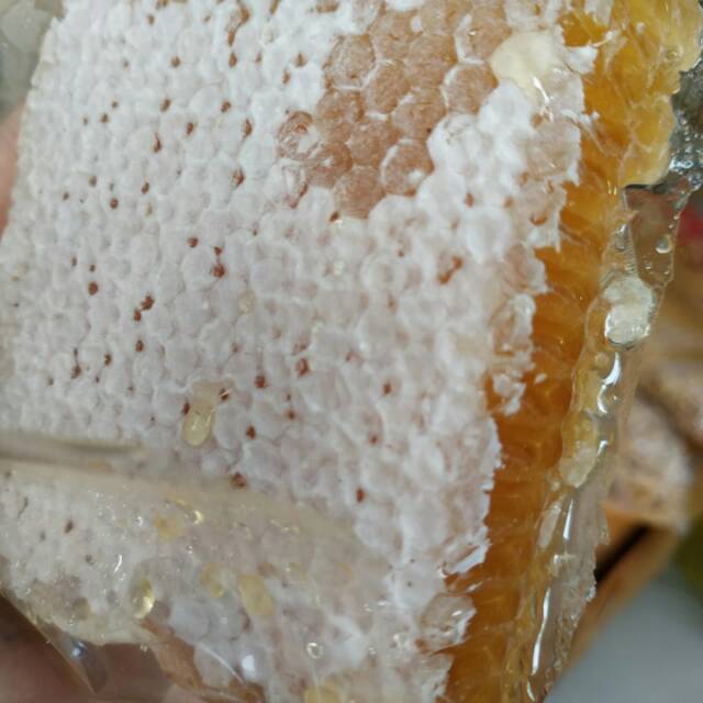 

Madu Sarang