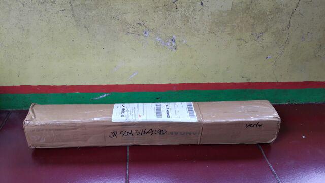 Bibit Buah Tin Verte Fc