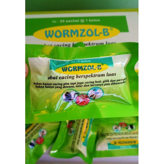 WORMZOL-B BOLUS ECER OBAT CACING UNTUK HEWAN TERNAK