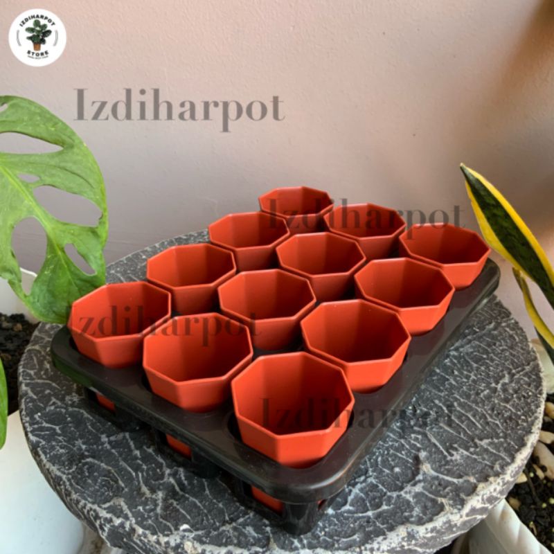 1 set Tray + POT BUNGA NKT PAGODA 5CM MERAH BATA | tray semai bibit