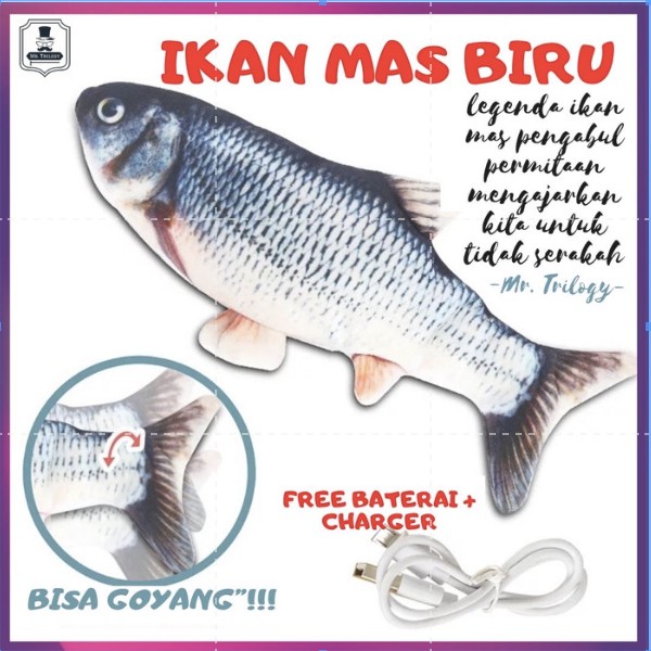 Mainan Ikan Goyang-Goyang Tiktok Goyang - Nemo Uget lucu kucing Arwana ikan gerak gerak mainan anak edukatif edukasi