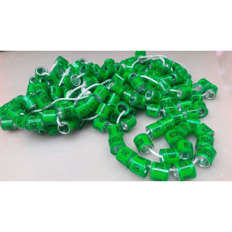 RING MERPATI IMPORT