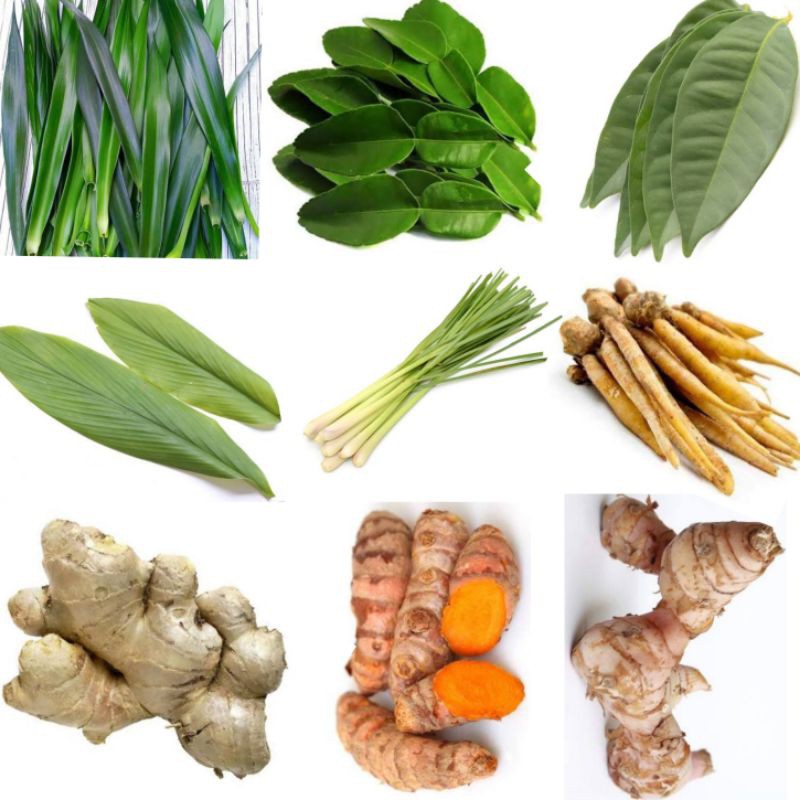 

Daun Suji, Daun Jeruk, Daun Salam, Daun Kunyit, Sereh, Temu Kunci, Jahe, Kunyit, Lengkoas, Kencur