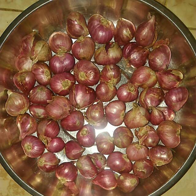 

Bawang Merah
