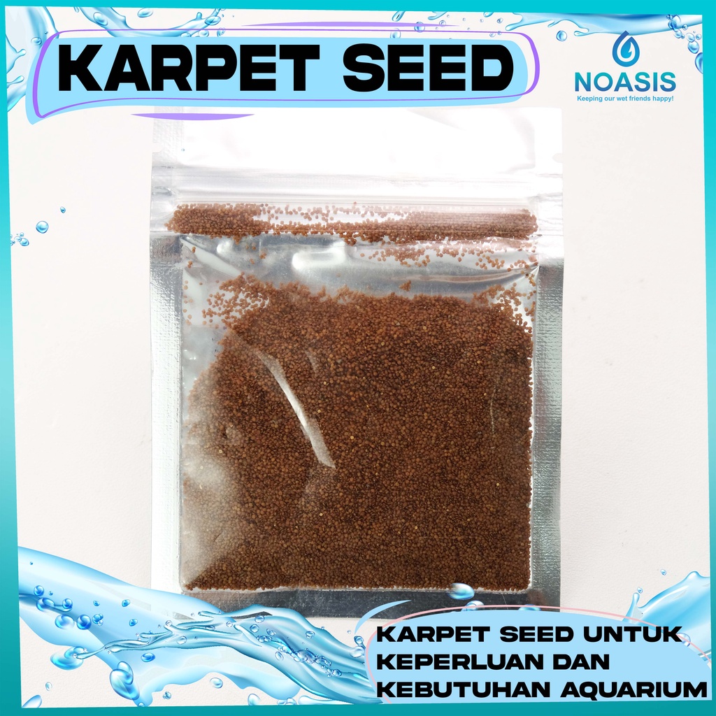 CARPET SEED MINI  DWARF PEARL - BIBIT TANAMAN AQUASCAPE