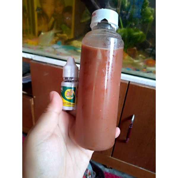 Rasya Ocid vitamin herbal khusus burung Lovebird jantan dewasa 250ml