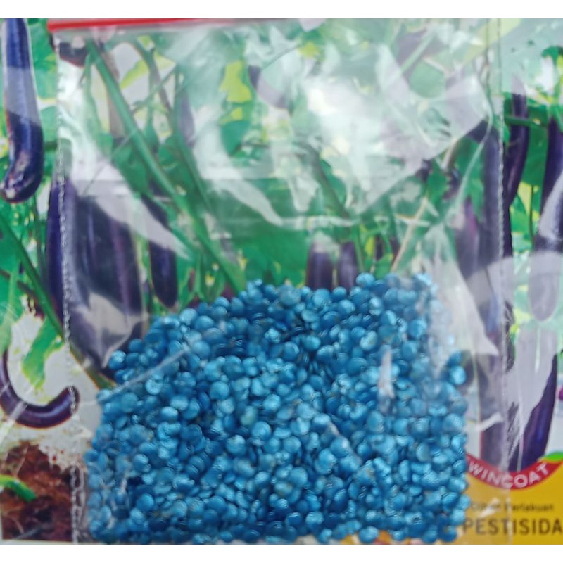 50 Butir Benih Terong ungu LEZATA