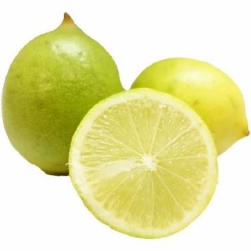 

Lemon Lokal | naga_exspress
