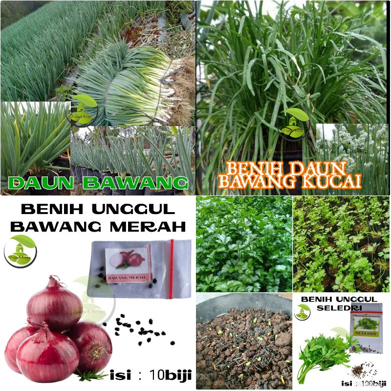 PAKET USAHA Benih Bibit Sayuran Bibit Sayur Buah Bunga