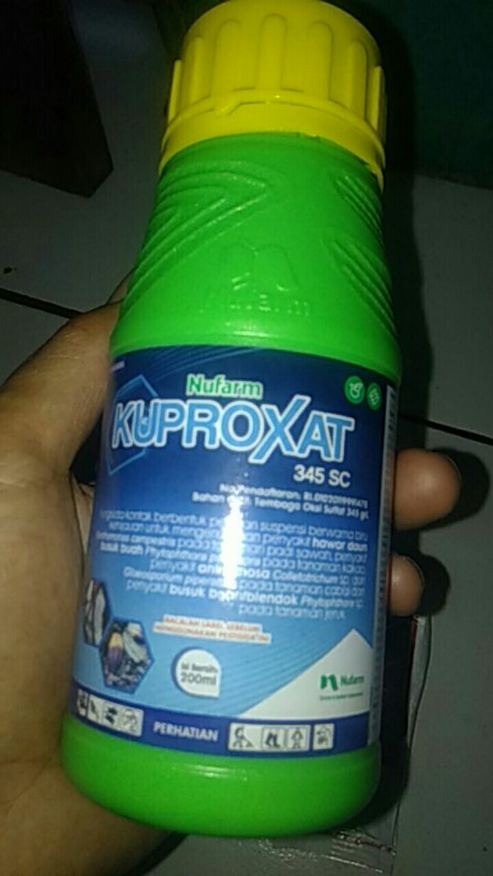 Kuproxat 345sc Isi 200 Ml Fungisida Dan Bakterisida Tembaga