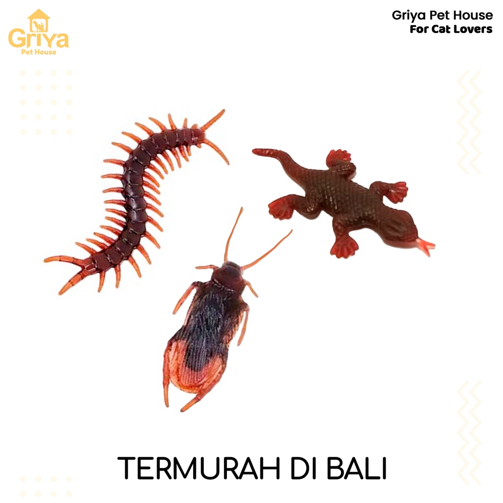 Mainan KUCING Bentuk KECOA | CICAK | KELABANG