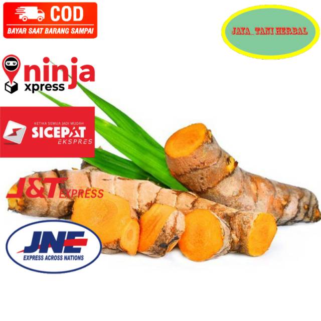 

Kunyit basah segar 1kg koneng organik Order di jaya_tani herbal