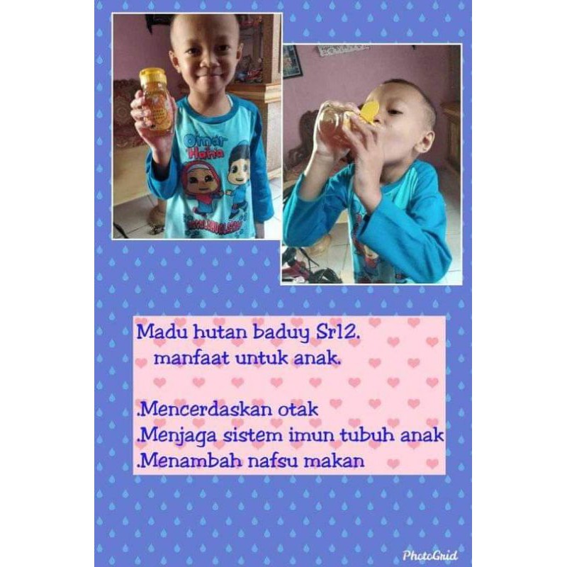 

MADU BADUY 140 GRAM SR12//MADU ALAMI 100% ASLI//MENJAGA KESEHATAN TUBUH TERUTAMA PADA ANAK