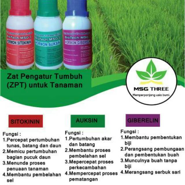 Jual Pupuk Zpt Zat Pengatur Tumbuh Bagus Merk Atonik 100ml Di Lapak Alat Tabulampot Bukalapak