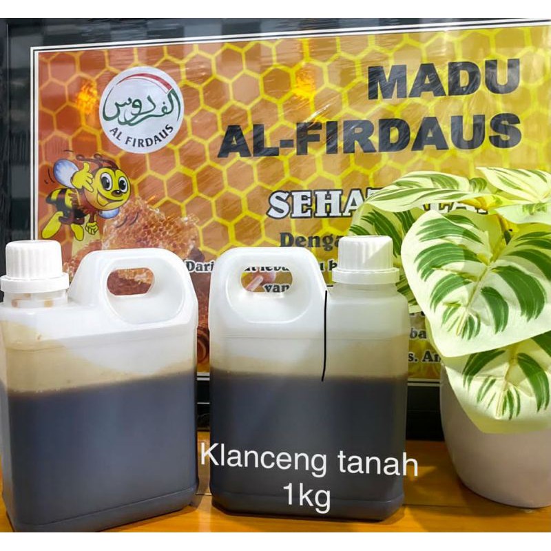 

Madu Klanceng Tanah