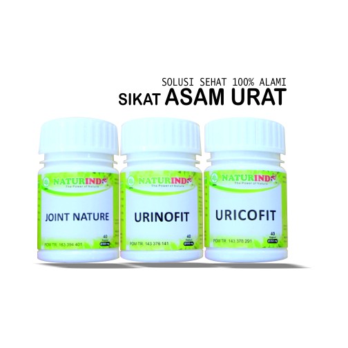 Paket Obat Herbal Asam Urat Naturindo