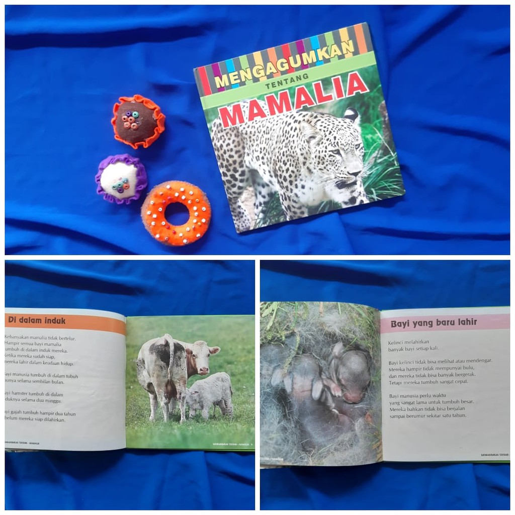 Mengagumkan tentang Mamalia buku anak HC bekas second preloved
