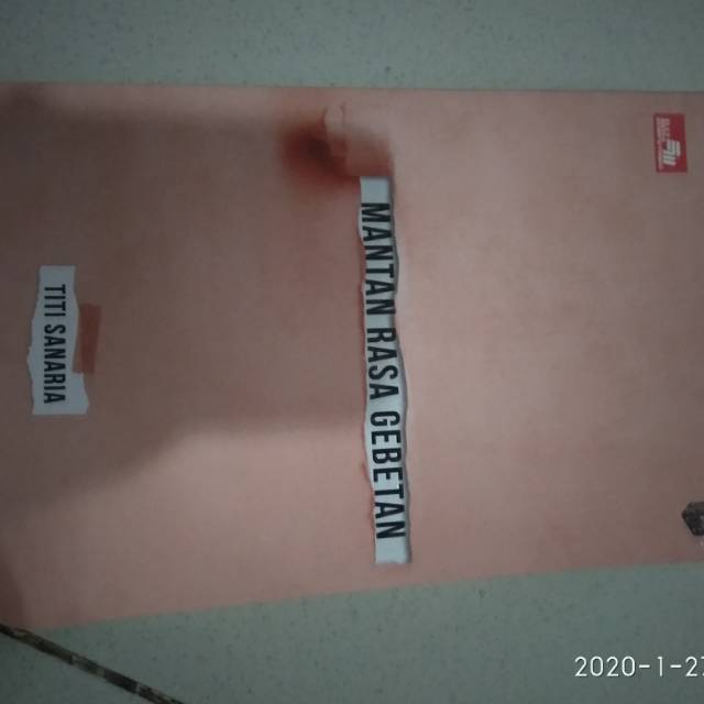 Novel mantan rasa gebetan