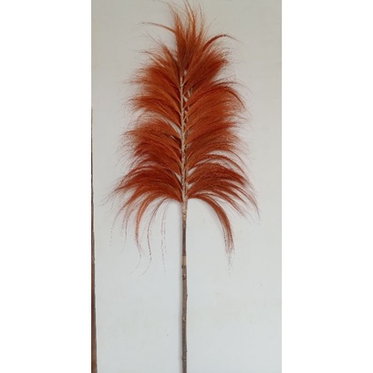 Rayung stick/rayung stik tinggi 2 meter/Pampas tanpa bulu lokal/pampas lokal/Bunga Kering/Dekorasi R