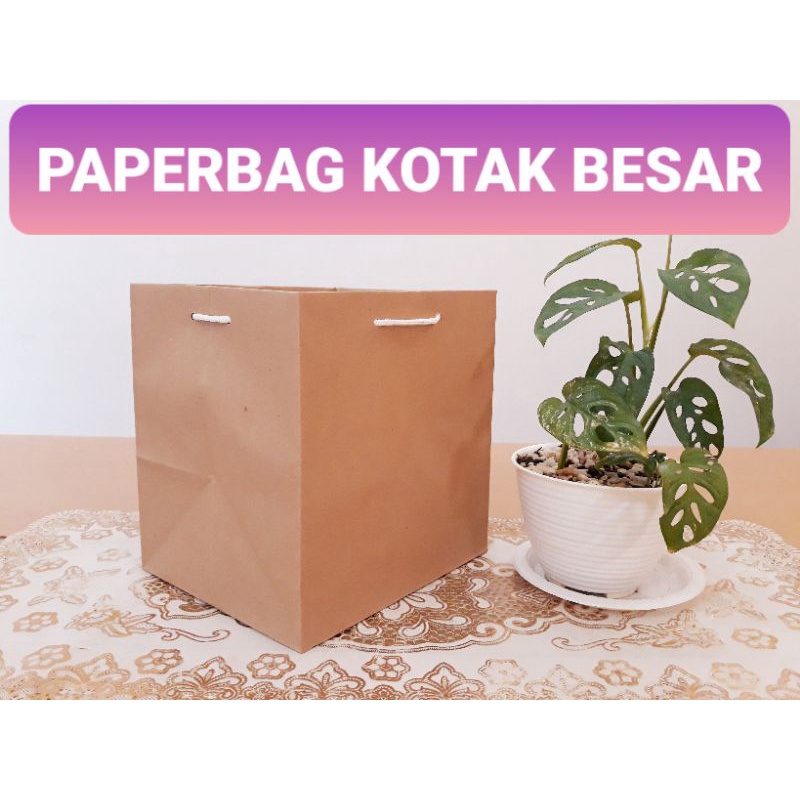 

paper bag kotak / paperbag kotak nasi / tas kertas box dus bento
