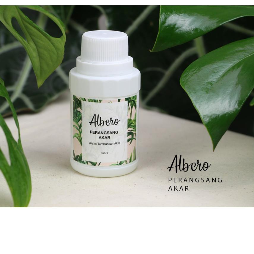 Albero perangsang/ akar tanaman hias